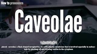 Caveolae Pronunciation  How to Pronounce say Caveolae CORRECTLY  Meaning Definition [upl. by Heber]