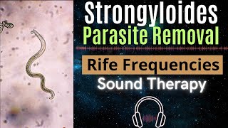 Rife Frequencies for Strongyloides Parasite Removal [upl. by Anilegnave]