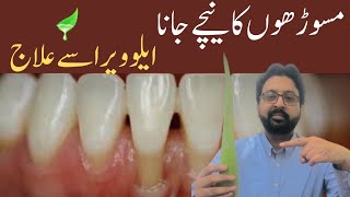 How to Use ALOE VERA for Gum Recession [upl. by Yor]