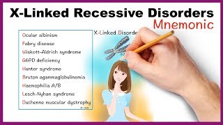 XLinked Recessive Disorders Mnemonic [upl. by Ecadnac]