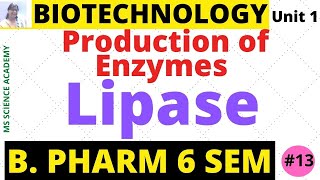 LipaseProduction of EnzymesBiotechnologyUnit 1 B Pharmacy 6 SemLect13 [upl. by Attelra]