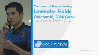 Commercial Breaks of TV5 during Lavender Fields  October 15 2024 Gap 1 [upl. by Eirolam22]