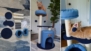 Does Tiger Like This Clevahome Cat Tree [upl. by Gridley]