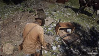 Red Dead Redemption 2 Herbalist 3 Early [upl. by Ripleigh]