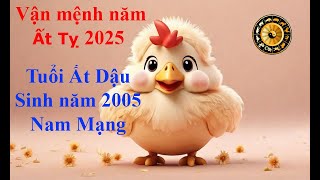 Tử vi Tuổi Ất Dậu 2005 Nam mạng năm Ất Tỵ 2025 Sự nghiệp tài vận tình duyên và gia đạo [upl. by Tedmann]