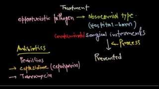 Pseudomonas aeruginosa treatment [upl. by Melisa]