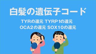 白髪の遺伝子コード心理カウンセラー大嶋信頼さんのメソッド聞き流し TYRの還元 TYRP１の還元 OCA2の還元 SOX10（ソックステン）の還元 [upl. by Nonnad]