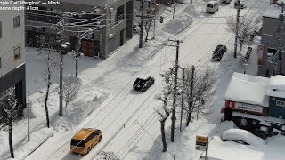 Snowfall in Sapporo lofi radio 12 hours  March 2 2024 [upl. by Cornelia407]