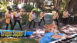 Grupo Super T  La danza del gato  Video Oficial [upl. by Luelle]