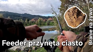 Przynęta ciasto Feeder branie na żywo 6 fishing carpfishing [upl. by Saffren]