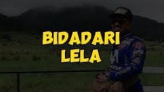 Bidadari  Lela CoverLyrics by DeDeEe1channel [upl. by Ile815]