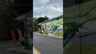 Mural in Jindalee shopping village [upl. by Edlihtam]