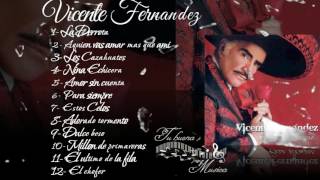 Vicente Fernandez Album para siempre [upl. by Noell]