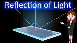 Reflection of light  Animated explanation in hindi  Ray Optics  Physics  12th class [upl. by Kristof123]