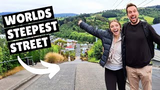 DUNEDIN NEW ZEALAND New Zealand travel vlog [upl. by Yevre]