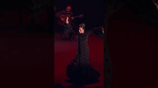 The Andalusian Flamenco Tour  September 2024  Musical Getaways spaintravel livemusic [upl. by Tutankhamen]