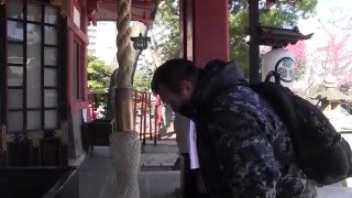 Japanese Shinto Shrine Temple Etiquette [upl. by Nedda]