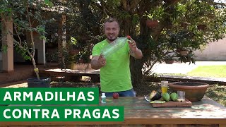 COMO CRIAR ARMADILHAS PARA AS PRAGAS NO SEU JARDIM  Usando acessórios que você tem em casa [upl. by Adrea]