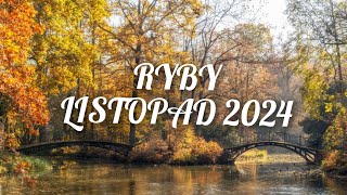 ♓RYBY ♓ listopad 2024  zmiany które wprowadzą spokój i stabilizację 🫶💫☺️🪬🪐🌕 [upl. by Tory]