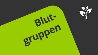 Wie werden die Blutgruppen AB0 und der Rhesusfaktor vererbt  Biologie  Genetik [upl. by Rance]