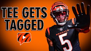 Bengals Placing Franchise Tag on Tee Higgins  Instant Reaction to News [upl. by Haidedej637]