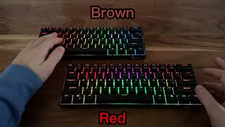 Red switches vs Brown switches [upl. by Standice787]