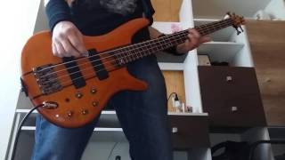 Urszula amp Budka Suflera  Temat Bożeny bass cover HD [upl. by Loriner90]