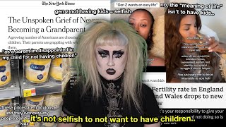 gen z doesn’t want to have kids amp it’s scaring everybody [upl. by Nedla165]