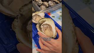 Oyster bars in Melbourne for quantity AND quality  Melbourne Australia [upl. by Saudra]