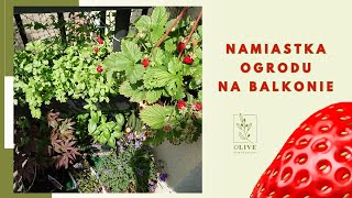 Przegląd roślin na balkonie  Namiastka ogrodu na balkonie  Balkon w bloku  begonie bonsai zioła [upl. by Deerc]