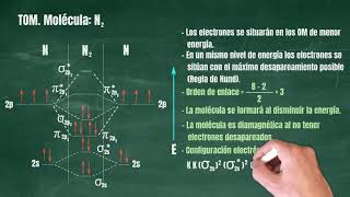 100 Teoría de Orbitales Moleculares Molécula N2 [upl. by Shiroma]