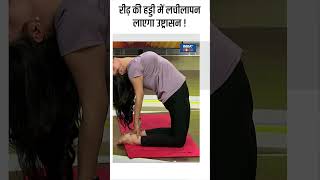 Yoga For Spine रीढ़ की हड्डी में लचीलापन लाएगा उष्ट्रासन  shorts indiatvyoga yogaposes [upl. by Washko]