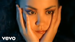 王菲 Faye Wong 《寒武紀》Official Music Video HD [upl. by Pears]