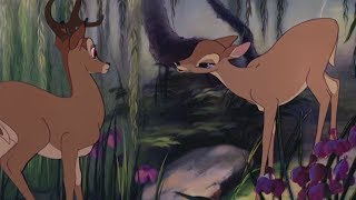 Bambi  Bambi finds Faline HD [upl. by Lashonda]