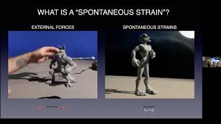 MasterClass 6 Lecture 3 part 1 Mechanics and Shaping of Complex Spatial Networks [upl. by Htebsle812]