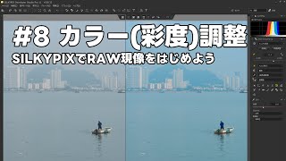 SILKYPIXでRAW現像をはじめよう 8 カラー（彩度）調整 [upl. by Atikihc895]