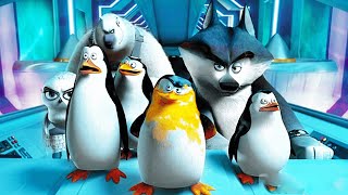 PENGUINS OF MADAGASCAR CLIP COMPILATION 2 2014 [upl. by Helbona914]