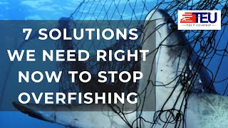 7 SOLUTIONS WE NEED RIGHT NOW TO STOP OVERFISHING I Ocean life protection I overfishing [upl. by Andres]