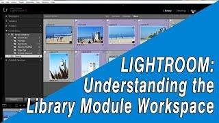 Lightroom Beginners Tutorial Library Module Workspace [upl. by Krever]