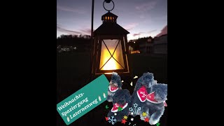 Mein Pudel unterwegs 🌟WeihnachtsSpaziergang🚶‍♀️🕯️auf dem Laternenweg🕯️ [upl. by Asecnarf]