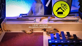 Sound of the Superworms  Microphonic Soundbox mk2 [upl. by Ilatfan]