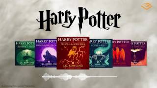 Lintégrale dHarry Potter sur Audiblefr [upl. by Eerised]