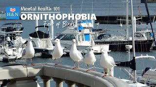 Mental Health 101 ORNITHOPHOBIA Fear of Birds [upl. by Chaney]