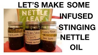 How To Make Infused Stinging Nettle Oil [upl. by Elocon]