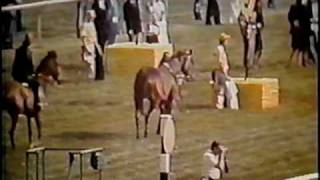 SECRETARIAT  1973 Preakness Stakes  Part 2 CBS [upl. by Lali993]