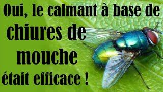 25 Oui le calmant à base de chiures de mouche était efficace [upl. by Nollahp]