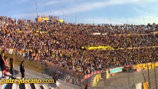 Canción Peñarol quotYo igual te sigo no importa a dondequot [upl. by Kamerman118]