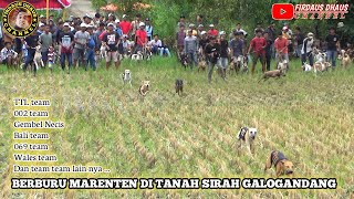 BERBURU MARENTEN DI TANAH SIRAH GALOGANDANG  BURU ALEK [upl. by Yatnahc]