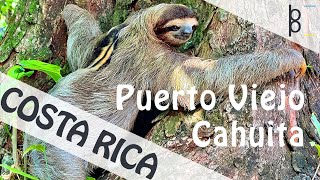 Puerto Viejo  Cahuita National Park 🇨🇷 Costa Rica 4K  Exploring Wildlife  Part 2 [upl. by Alvera741]