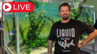 Aquascaping QampA Livestream [upl. by Nosydam]